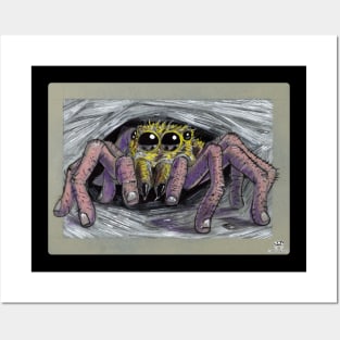 Finger Jumping Spider Posters and Art